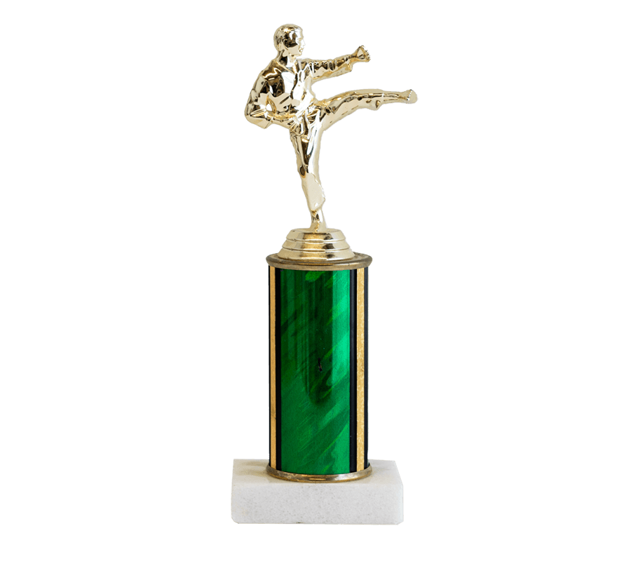 Karate trophy